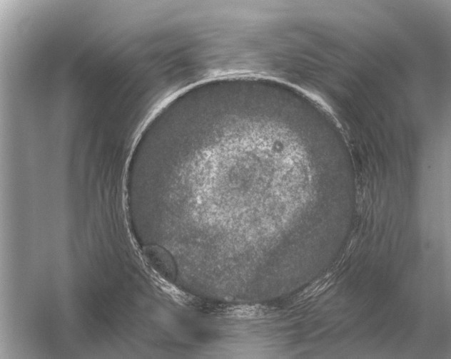 X0000058771279200510171216