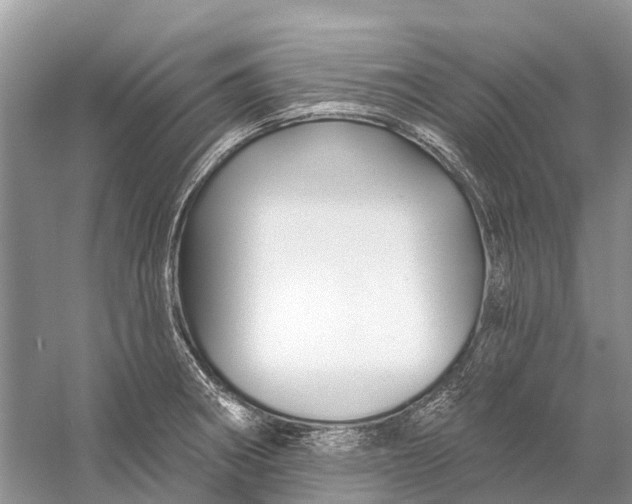 X0000058771282200510171216