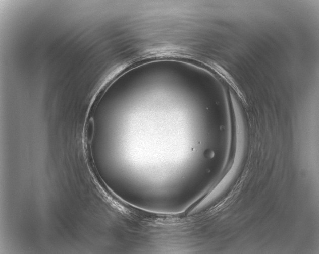 X0000058771285200510171216