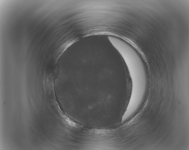 X0000058771289200510171216