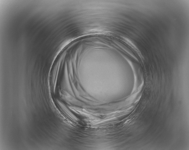 X0000058771291200510171216