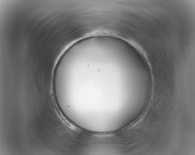 X0000058771296200510171216