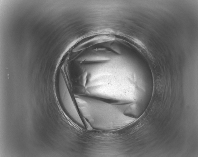 X0000058771326200510171215