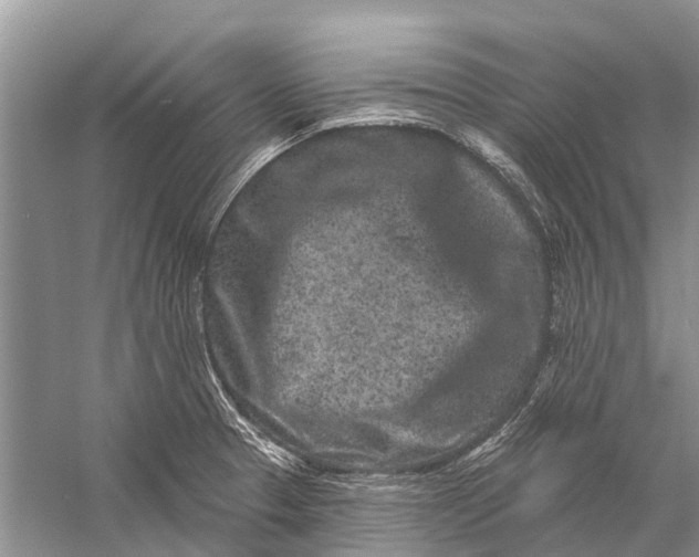 X0000058771329200510171215