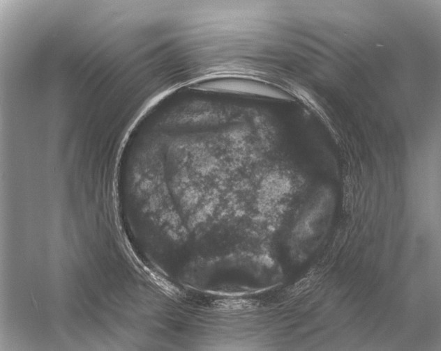 X0000058771331200510171215