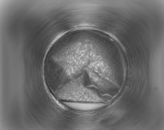 X0000058771333200510171215