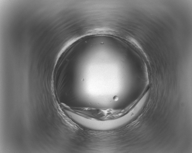 X0000058771336200510171216