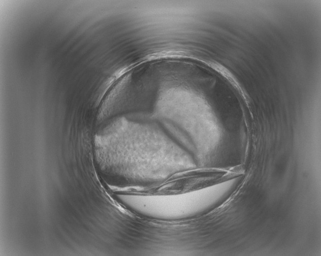 X0000058771337200510171216