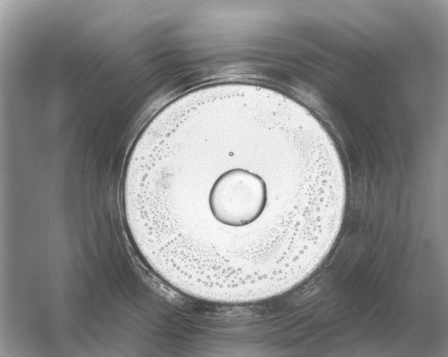 X0000058771338200510171216