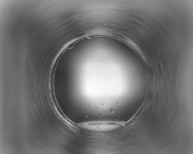 X0000058771339200510171216