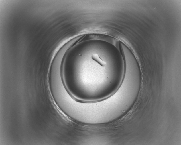 X0000058771344200510171216