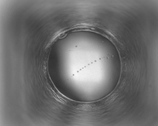 X0000058771355200510171215