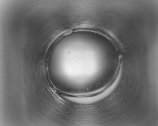 X0000058771356200510171215