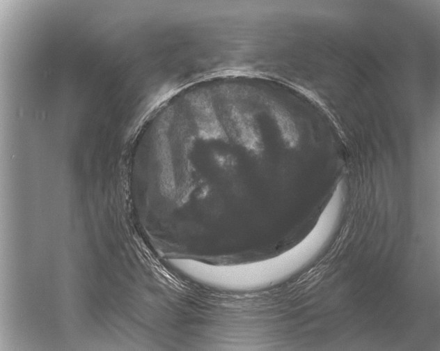 X0000058771359200510171215