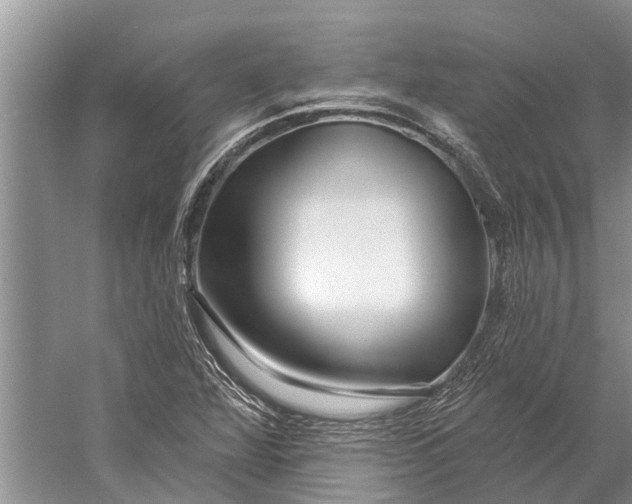 X0000058771360200510171215