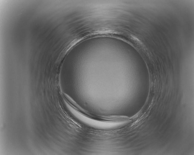 X0000058771361200510171215