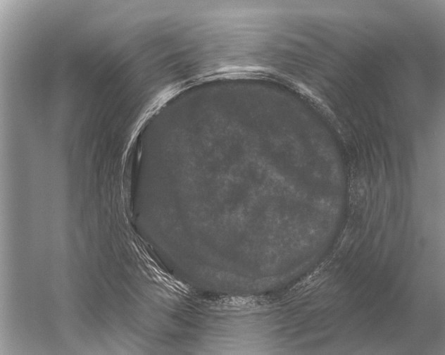 X0000058771362200510171215