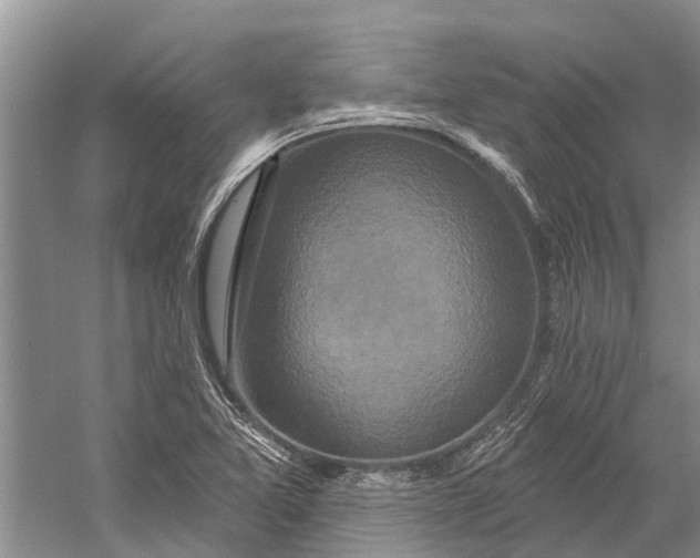 X0000058771365200510171214