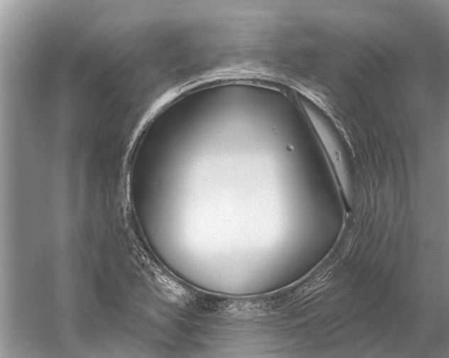 X0000058771366200510171214