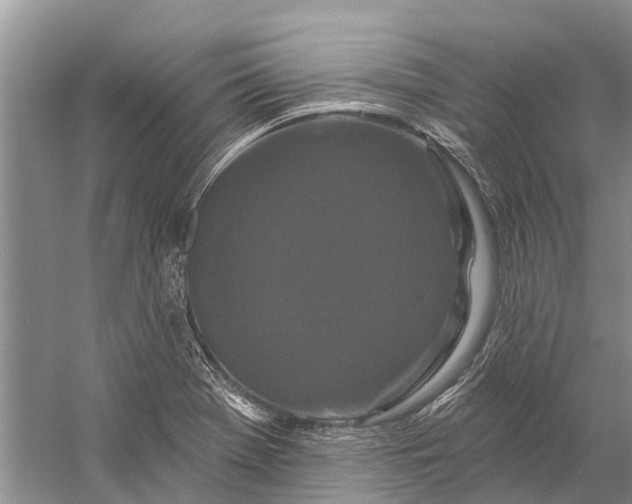 X0000058771369200510171214