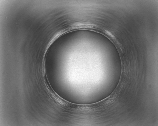 X0000058771370200510171214