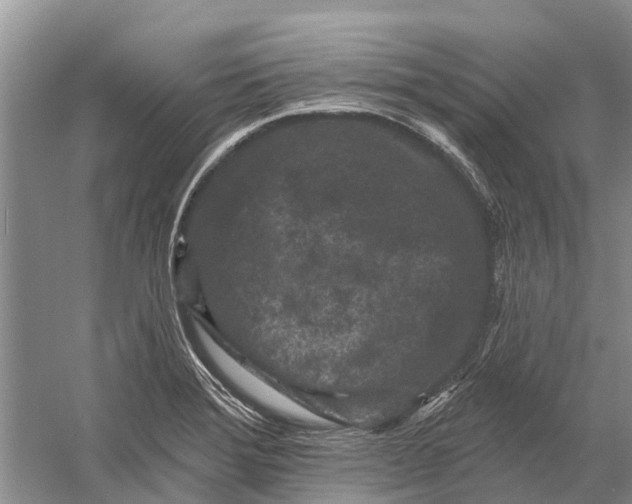 X0000058771372200510171214