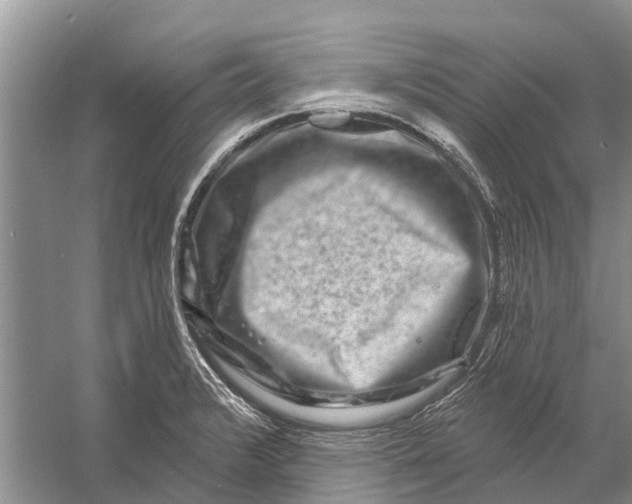 X0000058771376200510171214