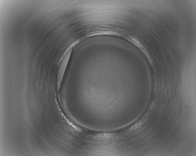 X0000058771377200510171214