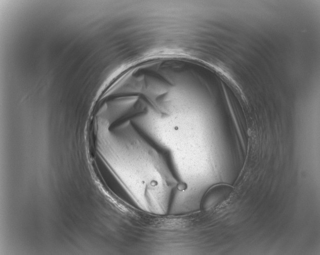 X0000058771382200510171214