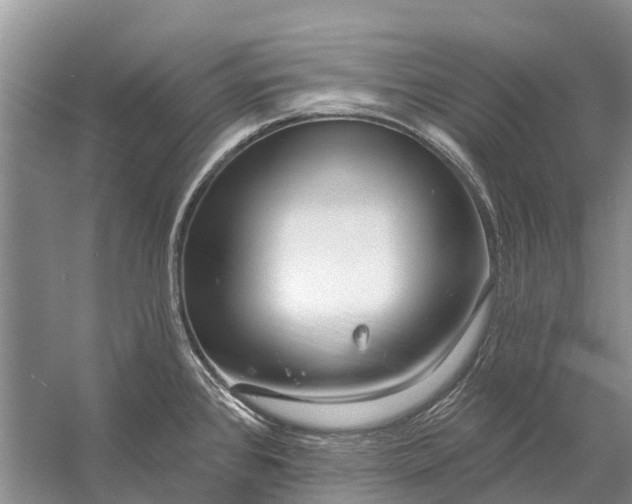 X0000058771384200510171214