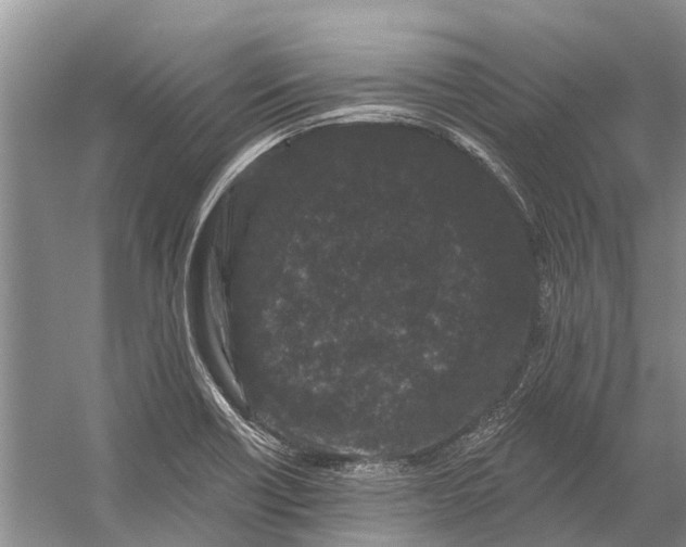 X0000058771418200510171214