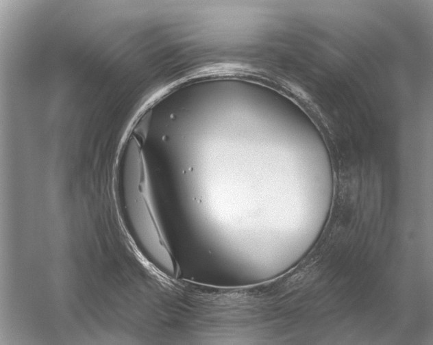 X0000058771421200510171214