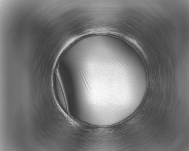 X0000058771424200510171214