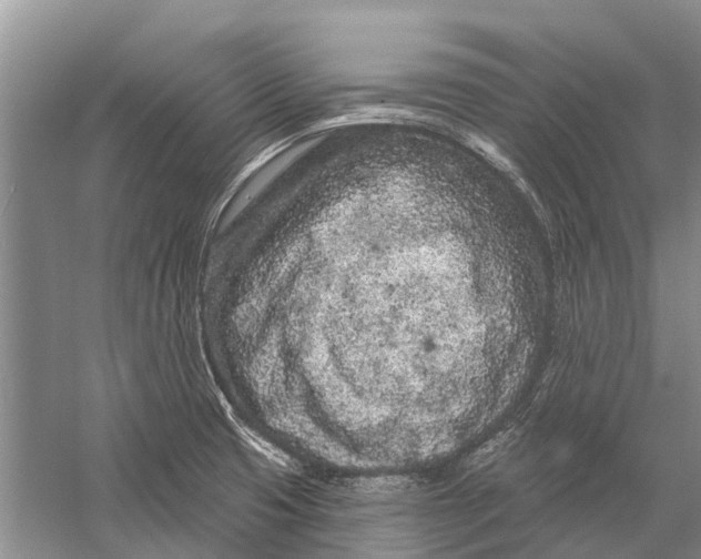 X0000058771425200510171214