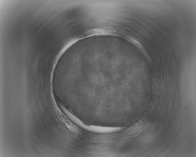 X0000058771427200510171214