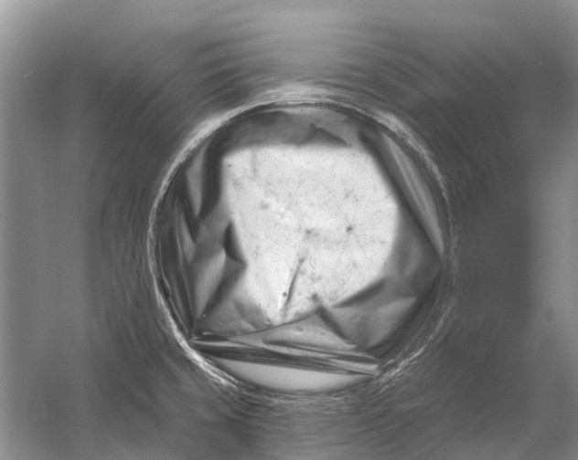 X0000058771429200510171214