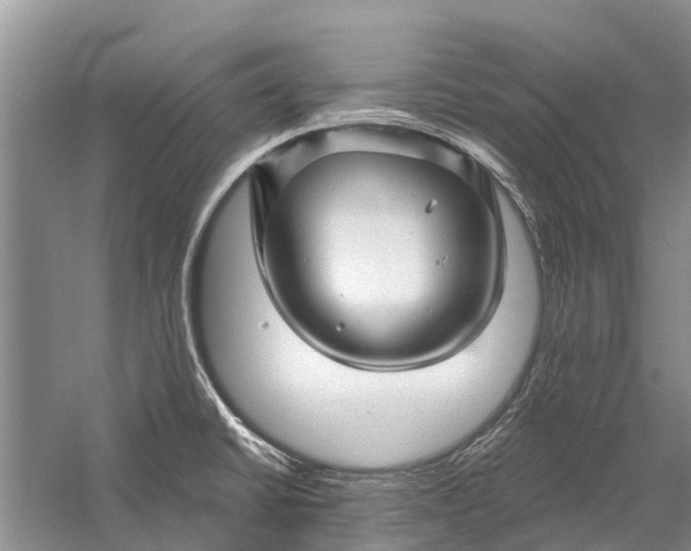 X0000058771430200510171214