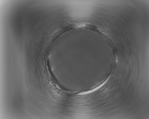 X0000058771441200510171213