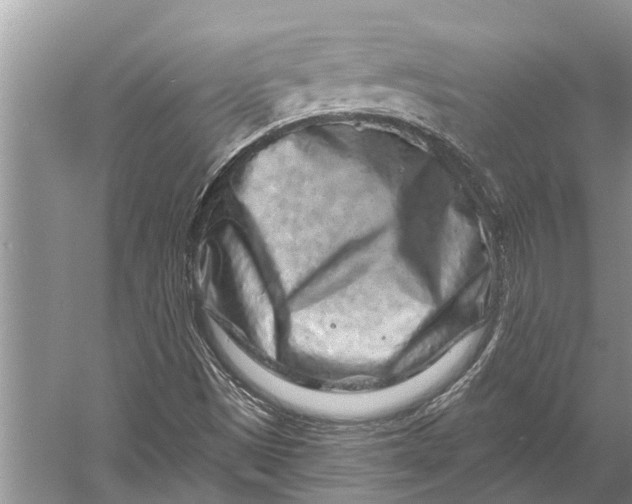 X0000058771497200510171212