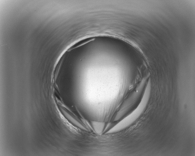 X0000058771524200510171212