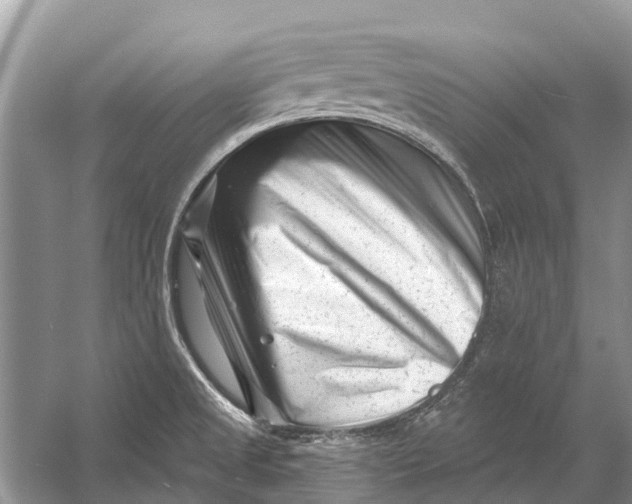 X0000058771525200510171212