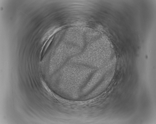 X0000058770002200510211734