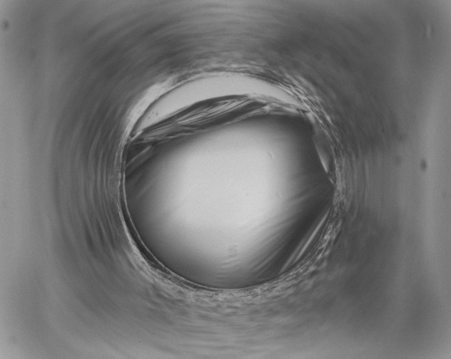 X0000058770003200510211734
