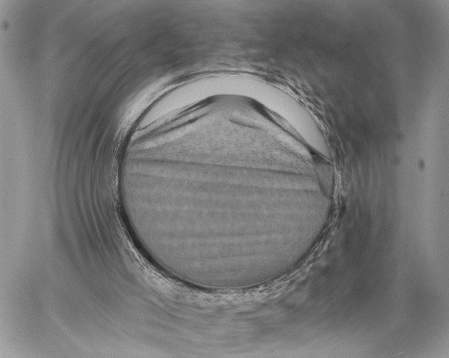 X0000058770005200510211734