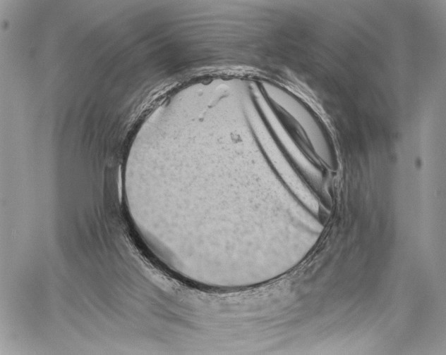 X0000058770013200510211734