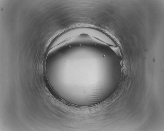 X0000058770015200510211734