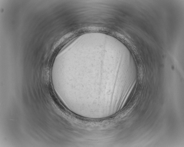 X0000058770016200510211734