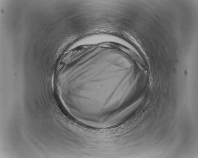 X0000058770019200510211734