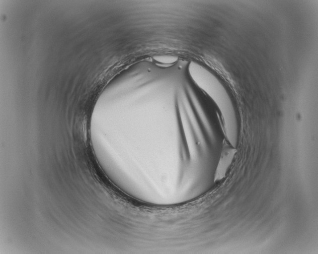 X0000058770021200510211734