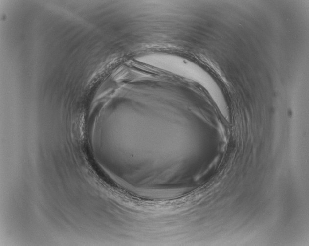 X0000058770023200510211734